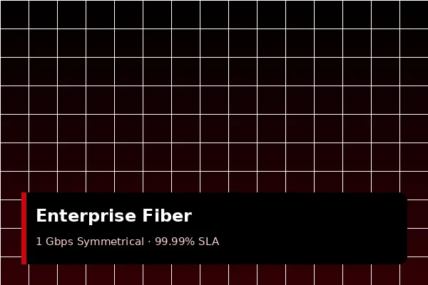Enterprise data center rack with fiber patch panels carrying Dedicated Internet Access circuits at 100 Gbps